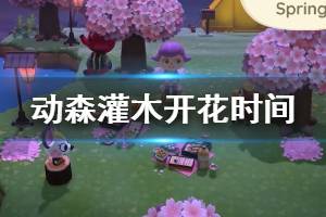 《集合啦动物森友会》灌木什么时间开花 灌木开花时间说明