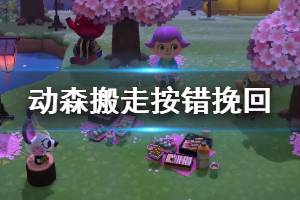 《集合啦动物森友会》搬走按错怎么办 小动物搬走挽回方法介绍