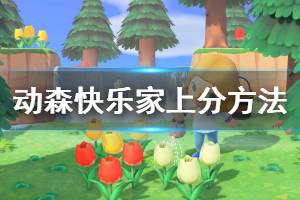 《集合啦动物森友会》快乐家协会S级怎么达成 快乐家上分方法介绍