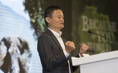 马云多能赚钱？答案来了：年赚800亿元每小时913万元