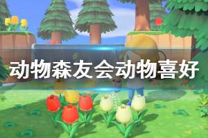 《集合啦动物森友会》小动物喜好介绍 小动物喜欢什么