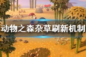 《集合啦动物森友会》杂草怎么生长 杂草生长机制介绍
