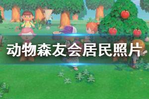 《集合啦动物森友会》居民照片怎么获得 居民照片获取几率说明