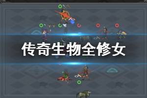 《传奇生物》全修女属性汇总 修女种类有哪些？