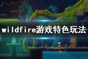 《Wildfire》游戏怎么样？游戏特色玩法简单介绍