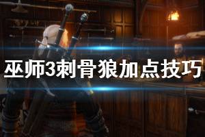 《巫师3》刺骨狼加点技巧图文解析 刺骨狼装备怎么获得？