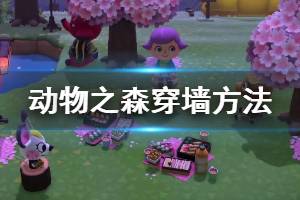 《集合啦动物森友会》怎么穿墙 人物穿墙方法介绍