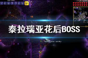 《泰拉瑞亚》1.4圣光皇后掉落哪些物品 花后BOSS攻击机制说明