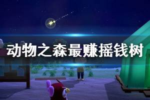《集合啦动物森友会》摇钱树怎么种最赚 摇钱树最赚种法介绍
