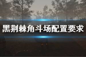 《黑荆棘角斗场》配置要求介绍 配置要求高吗