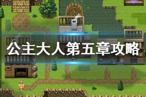 《公主大人才不会认输呢》第五章攻略介绍 第五章怎么玩