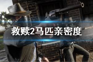 《荒野大镖客2》怎么提升马匹亲密度 提升马匹亲密度方法介绍