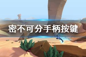 《密不可分》手柄怎么操作 北通精英手柄按键功能详解