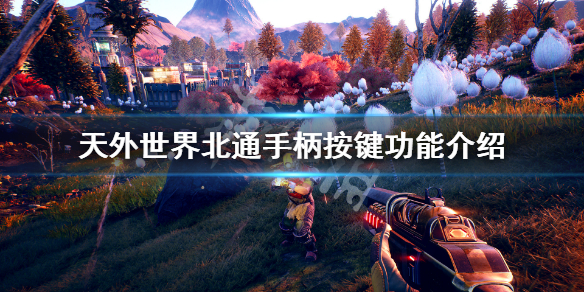 游侠网
