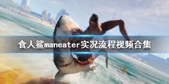 游侠网