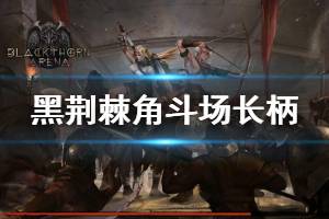 《黑荆棘角斗场》长柄怎么玩 长柄加点推荐说明