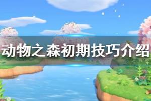 《集合啦动物森友会》初期怎么玩 初期实用小技巧分享