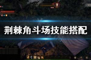 《黑荆棘角斗场》武器技能怎么搭配 技能武器搭配心得分享