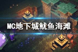 <b>《我的世界地下城》鱿鱼海滩怎么玩 鱿鱼海滩地图介绍</b>