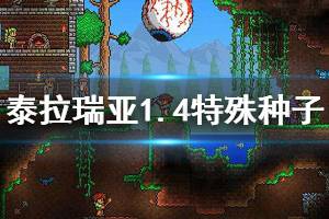 《泰拉瑞亚》1.4特殊世界种子有哪些 1.4特殊彩蛋种子介绍