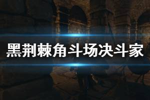 《黑荆棘角斗场》决斗家各流派说明 决斗家玩法心得介绍