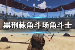 《黑荆棘角斗场》角斗士各流派说明 角斗士怎么玩