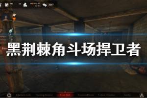 《黑荆棘角斗场》捍卫者怎么玩 捍卫者流派玩法说明
