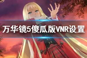 《美少女万华镜5》傻瓜版VNR设置方法介绍 傻瓜版VNR怎么设置？