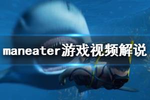 《食人鲨》全流程视频解说合集 maneater游戏视频解说全集