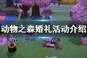 《集合啦动物森友会》婚礼活动怎么参加 婚礼活动内容介绍