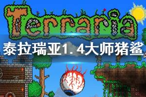 《泰拉瑞亚》1.4大师猪鲨怎么打 1.4大师猪鲨打法攻略介绍