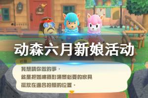 《集合啦动物森友会》六月新娘活动怎么玩 六月新娘活动所需道具说明