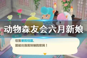 《集合啦动物森友会》六月新娘活动怎么参加 六月新娘活动参加方法介绍