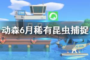 《集合啦动物森友会》大角花金龟怎么抓 6月稀有昆虫捕捉技巧分享