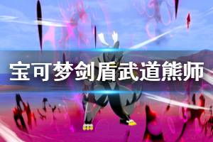 《宝可梦剑盾》武道熊师技能招式哪些？武道熊师资料图鉴介绍