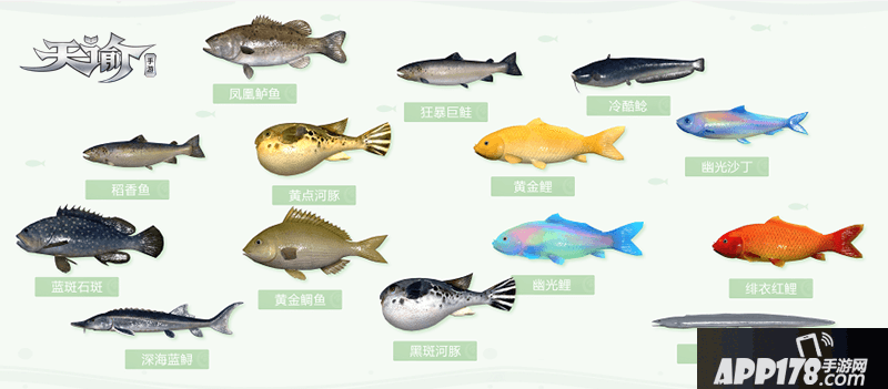 天谕手游