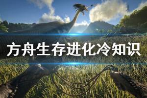 《方舟生存进化》有哪些冷知识 冷知识总结