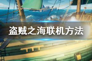 《盗贼之海》怎么联机 游戏联机方法分享