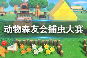 《集合啦动物森友会》捕虫大赛怎么玩 捕虫大赛玩法技巧介绍