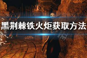 《黑荆棘角斗场》铁火炬怎么获得 铁火炬获取方法