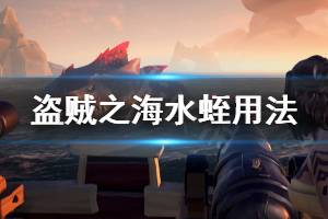 《盗贼之海》水蛭怎么弄 水蛭用法分享