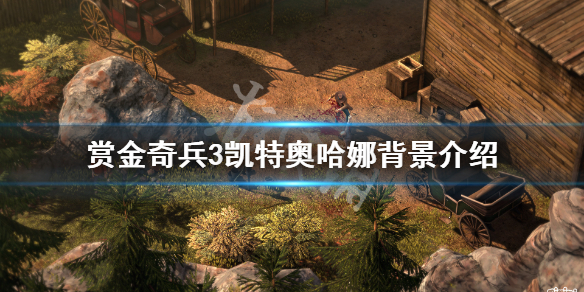 游侠网