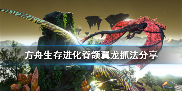 游侠网