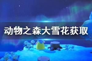 《集合啦动物森友会》大雪花怎么获得 大雪花获取方法介绍