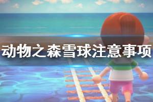 《集合啦动物森友会》雪球怎么弄 滚雪球注意事项介绍