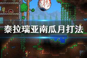 《泰拉瑞亚》南瓜月怎么过 南瓜月打法攻略介绍