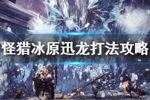 《怪物猎人世界冰原》怎么打迅龙 迅龙打法攻略