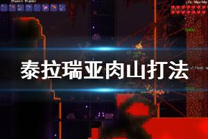 《泰拉瑞亚》肉山怎么打 肉山打法分享