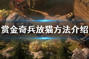 《赏金奇兵3》怎么放猫 女巫放猫方法介绍