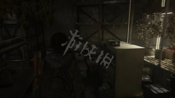 游侠网